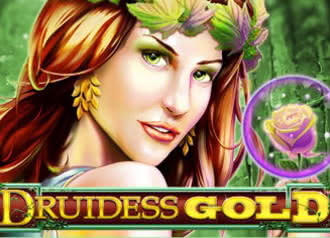 Online Slot Druidess Gold - Symbols and Coefficients