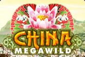 Slot Machine China Mega Wild - Symbols in Online Slots to Play