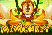 Video Slot Machine Mr Monkey - Play And Read Game Features