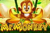 Mr Monkey