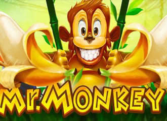 Mr Monkey