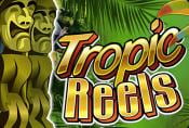 Tropic Reels Free Slot - Read About Rules of the Game & Wild Symbol