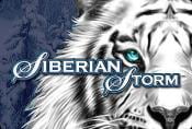 Siberian Storm Slot Game - Play Online with Bonus Symbols