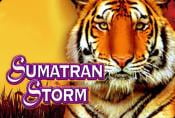 Online Video Slot Machine Sumatran Storm - Play With Free Spins