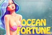 Ocean Fortune Slot - Bonus Round in Game & Special Symbols