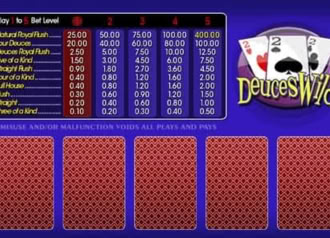 Video Poker Deuces Wild Slot Machine - Game Process and Combinations