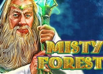 Misty Forest