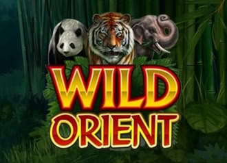 Online Video Slot Machine Wild Orient Welcome Bonus