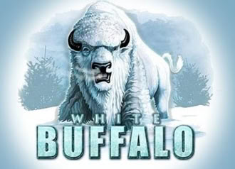 White Buffalo