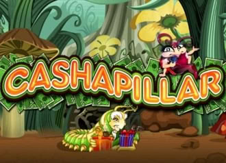 Cashapillar