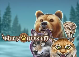 Online Video Slot Wild North with Bonus Rounds