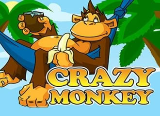 Online Slot Crazy Monkey with Risk Game and Bonuses