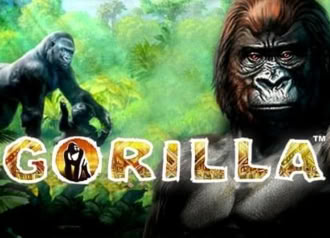Free Online Slot Gorilla with Risk Game and Bonus Spins