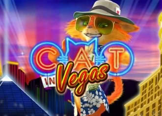 Cat In Vegas