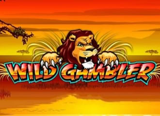 Online Video Slot Machine Wild Gambler - Play With Bonus