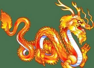 Dragons Wild Fire