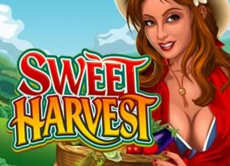 Sweet Harvest