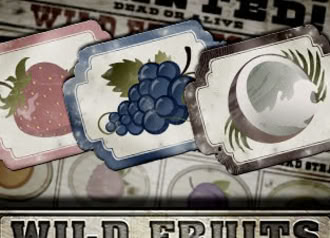 Free Online Slot Wild Fruits no Download no Registration