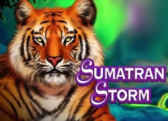 Sumatran Storm