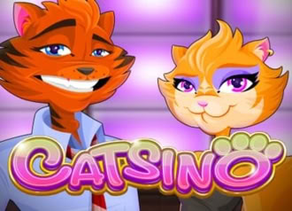 Online Video Slot Catsino with Bonus game