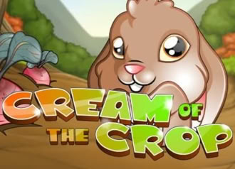 Online Slot Machine Cream of the Crop Bonus