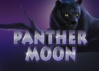 Video Slot Machine Panther Moon Online Slots Game Free