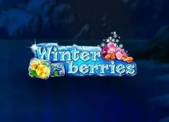 Winterberries