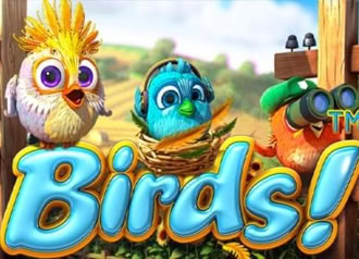 Birds Online Slot without Registration - Symbols and Bonuses