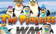 World Match launched a new slot machine Pinguizz HD