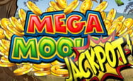 Slot machine Mega Moolah has given another progressive jackpot