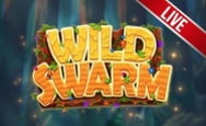 New Slot Wild Swarm by Push Gaming